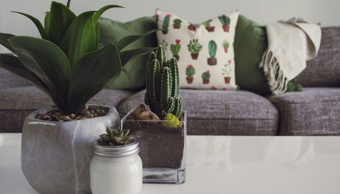 Decorate Your Space Individually With Wayfair's Collection of Home Goods