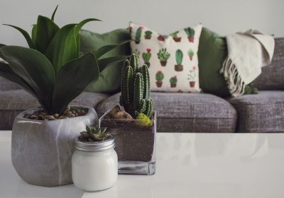 The Best Products From Wayfair to Get Your Home Cozy