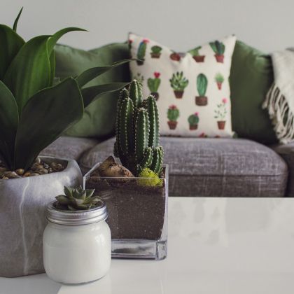 The Best Products From Wayfair to Get Your Home Cozy
