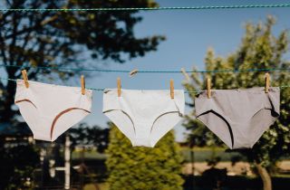 Saalt Best Wear Comfort Collection For Every Women Need