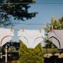 Saalt Best Wear Comfort Collection For Every Women Need