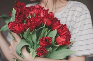 Best Flower Gift Collections for Her at Sugarwish