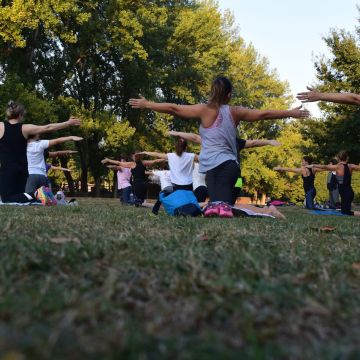 Learn Fundamentals Of Yoga at ISSA US