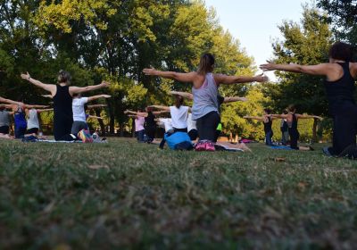 Learn Fundamentals Of Yoga at ISSA US